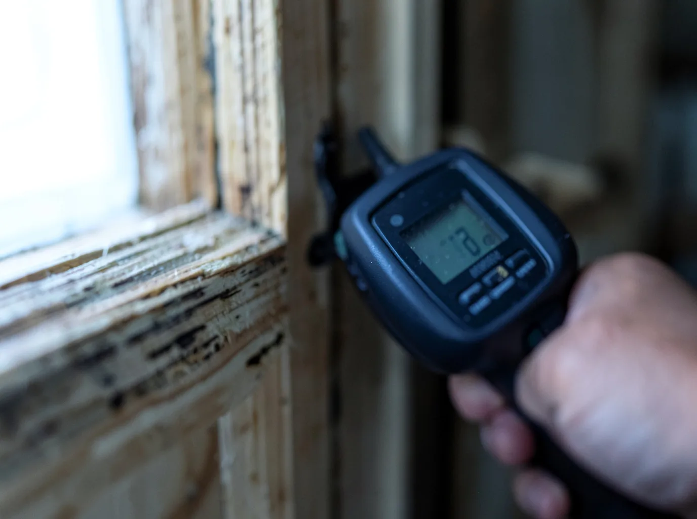 Moisture Inspection And Documentation in Beulah, WY